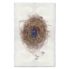 Blue Berry Bird Nest Art Print