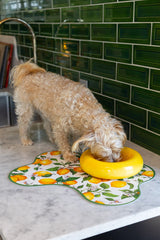 Ceramic Dog Feeder