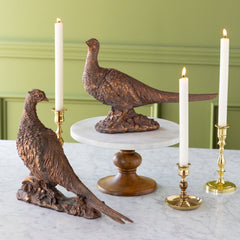 Bronze Pheasant