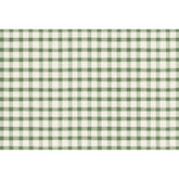 Dark Green Painted Check Placemat