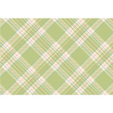 Bright Green Plaid Placemat