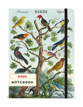 Birds Notebook
