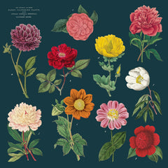 Botanica Cloth Napkin Set of Four