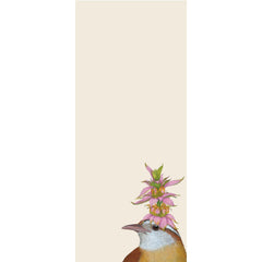 Carolina Wren List Pad