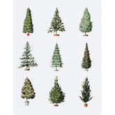 Christmas Trees Greeting Card