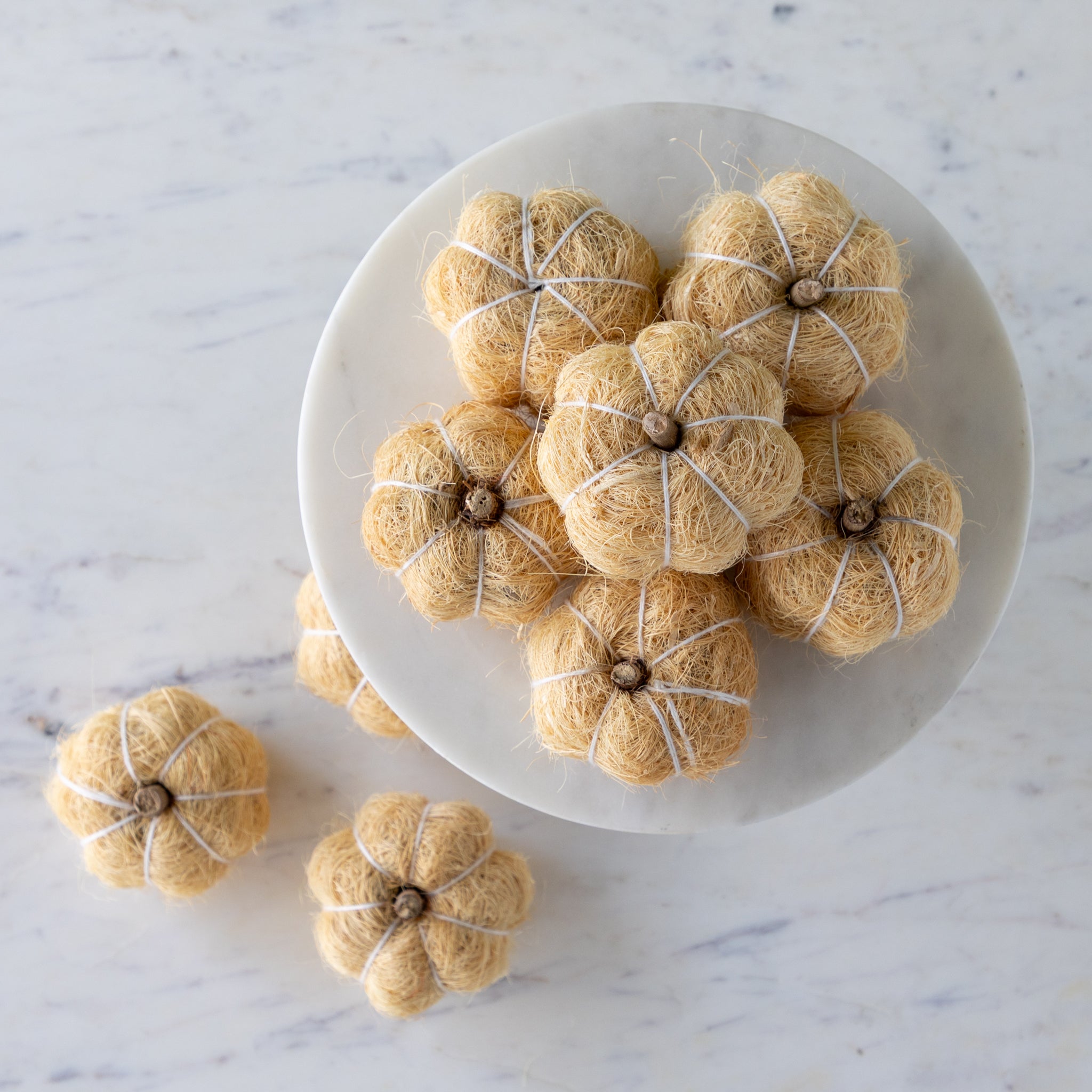 Coco Fiber Pumpkins, Set of 9