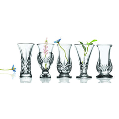 Dublin Crystal 5 Piece Bud Vase Set