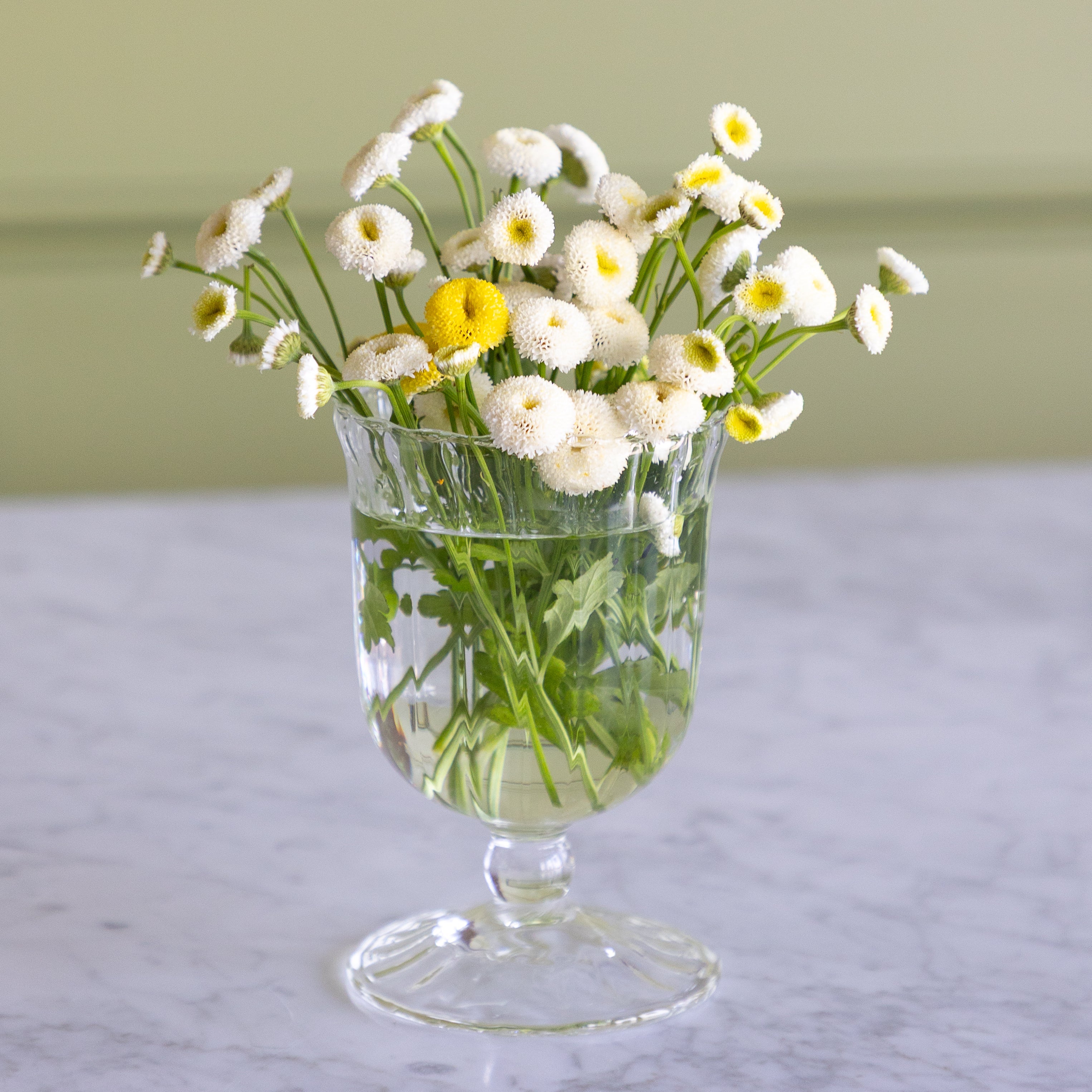 Clear Fluted Vase