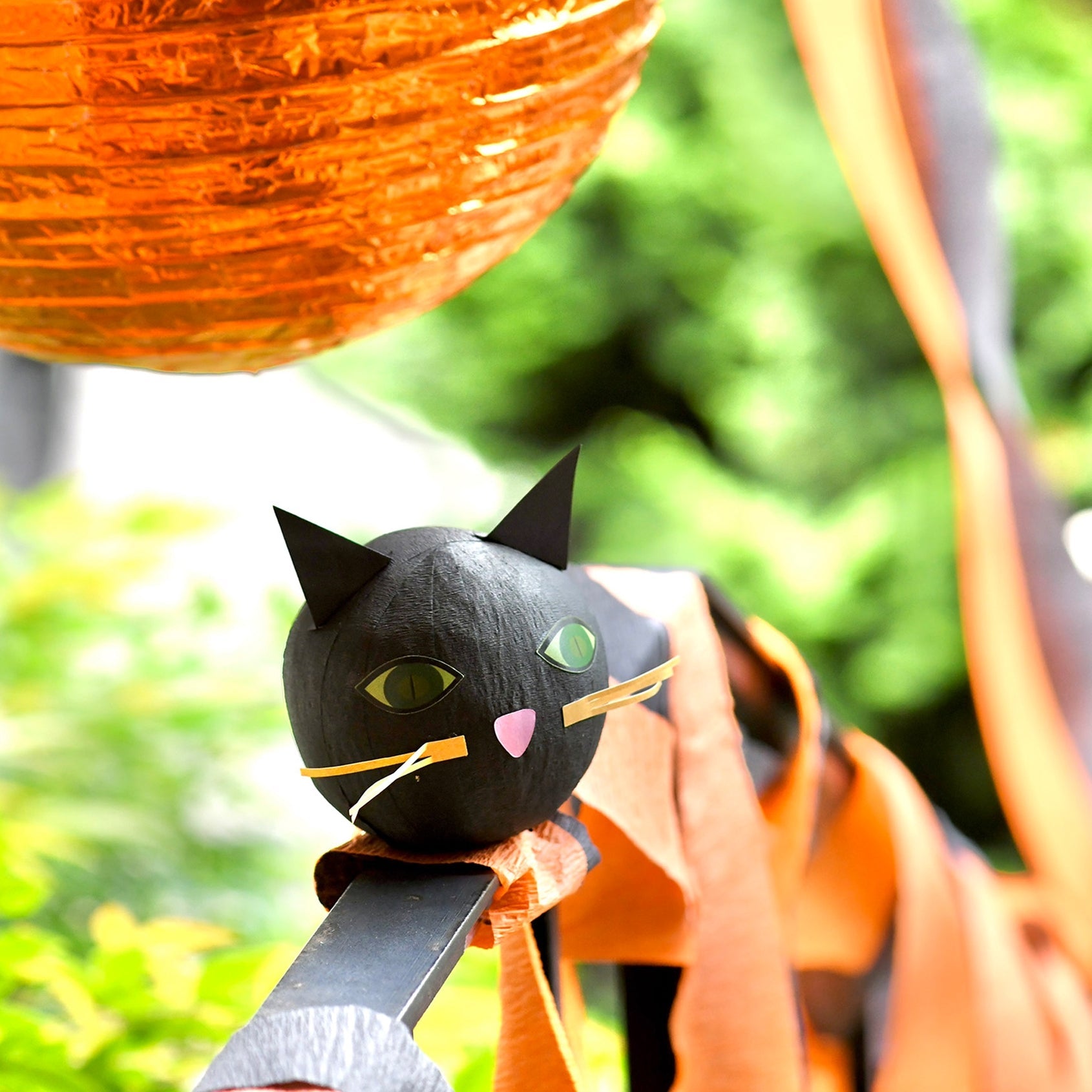 Deluxe Surprize Ball Black Cat