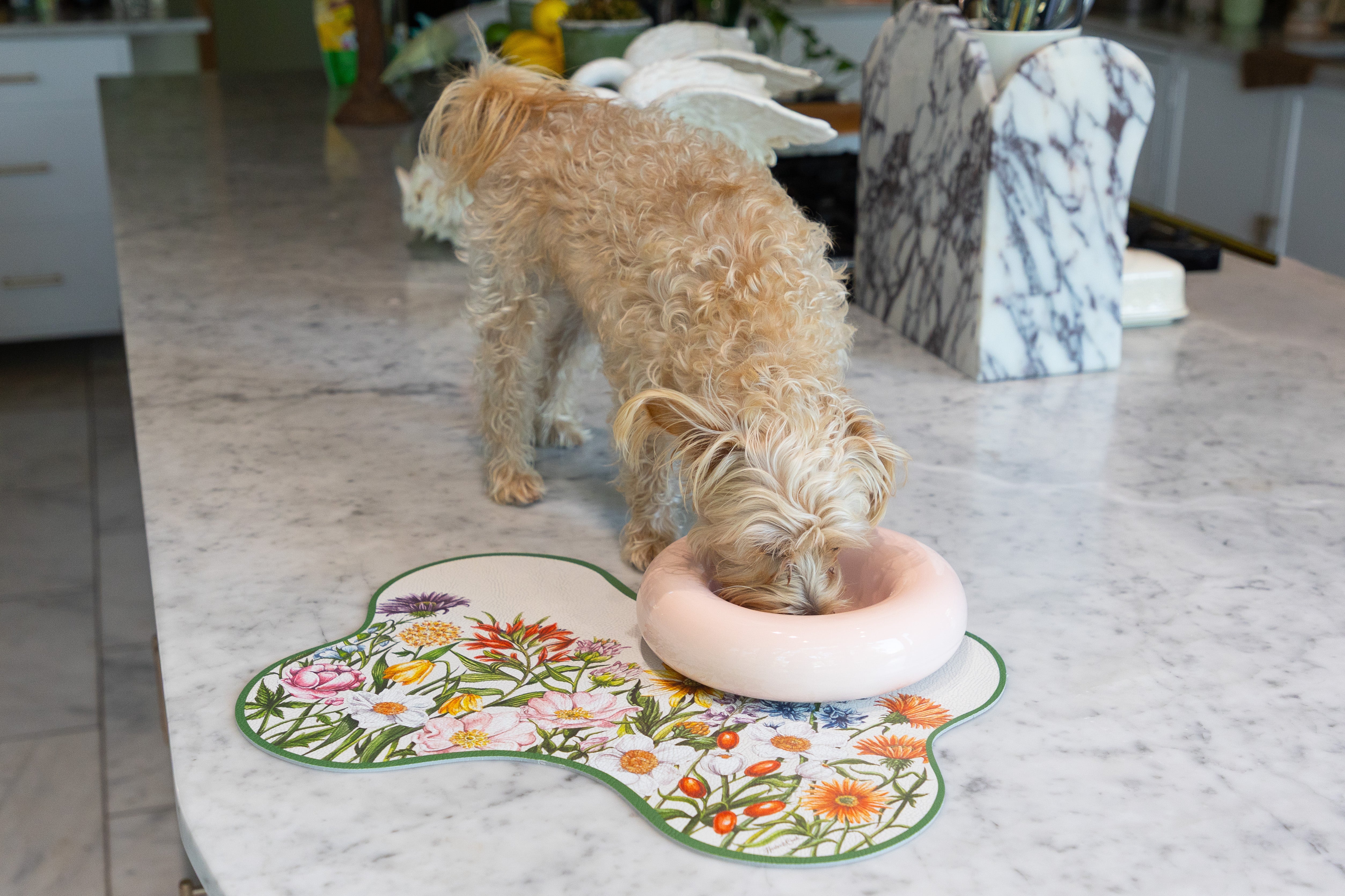 Ceramic Dog Feeder