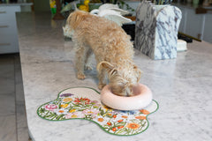 Ceramic Dog Feeder