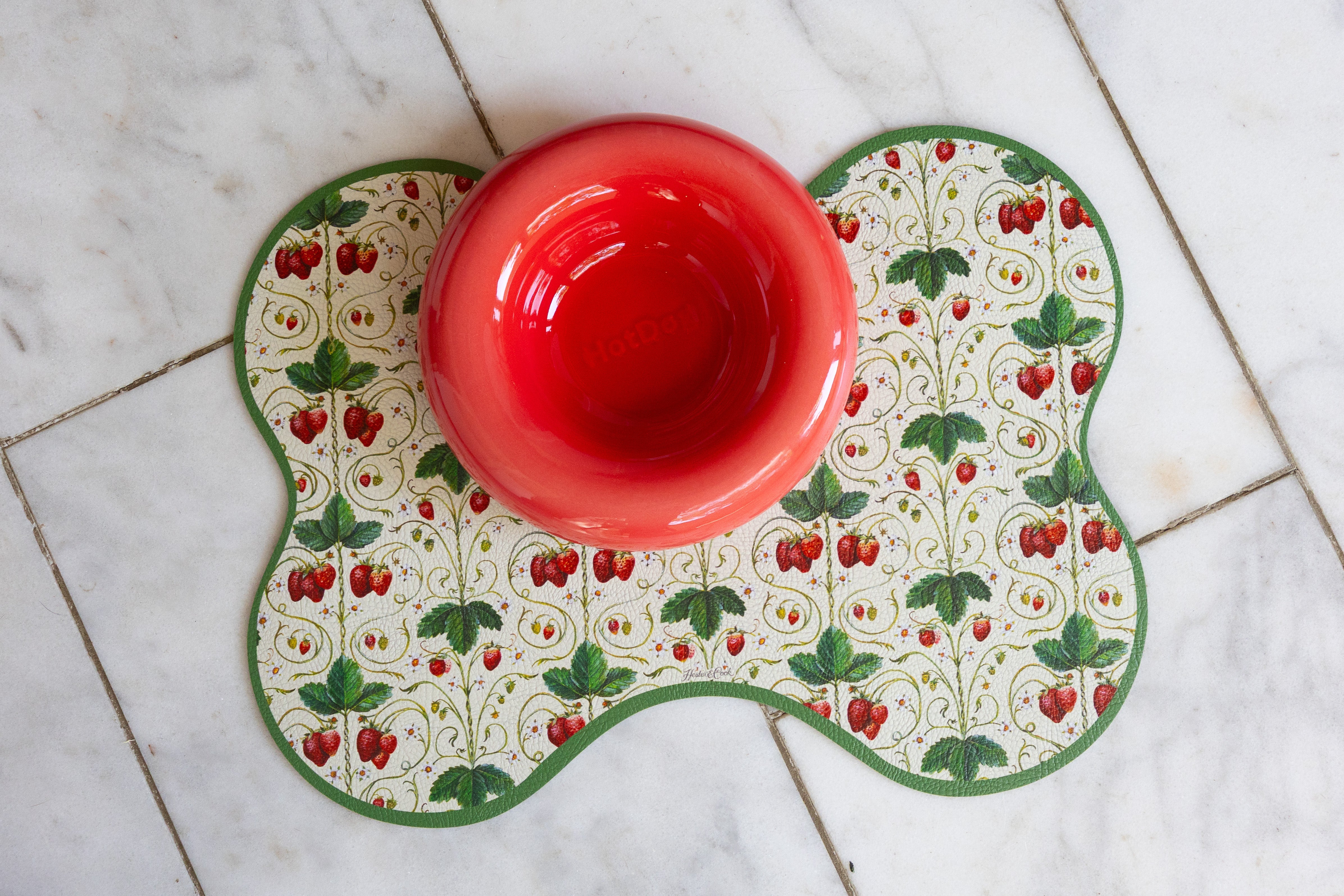 Ceramic Dog Feeder