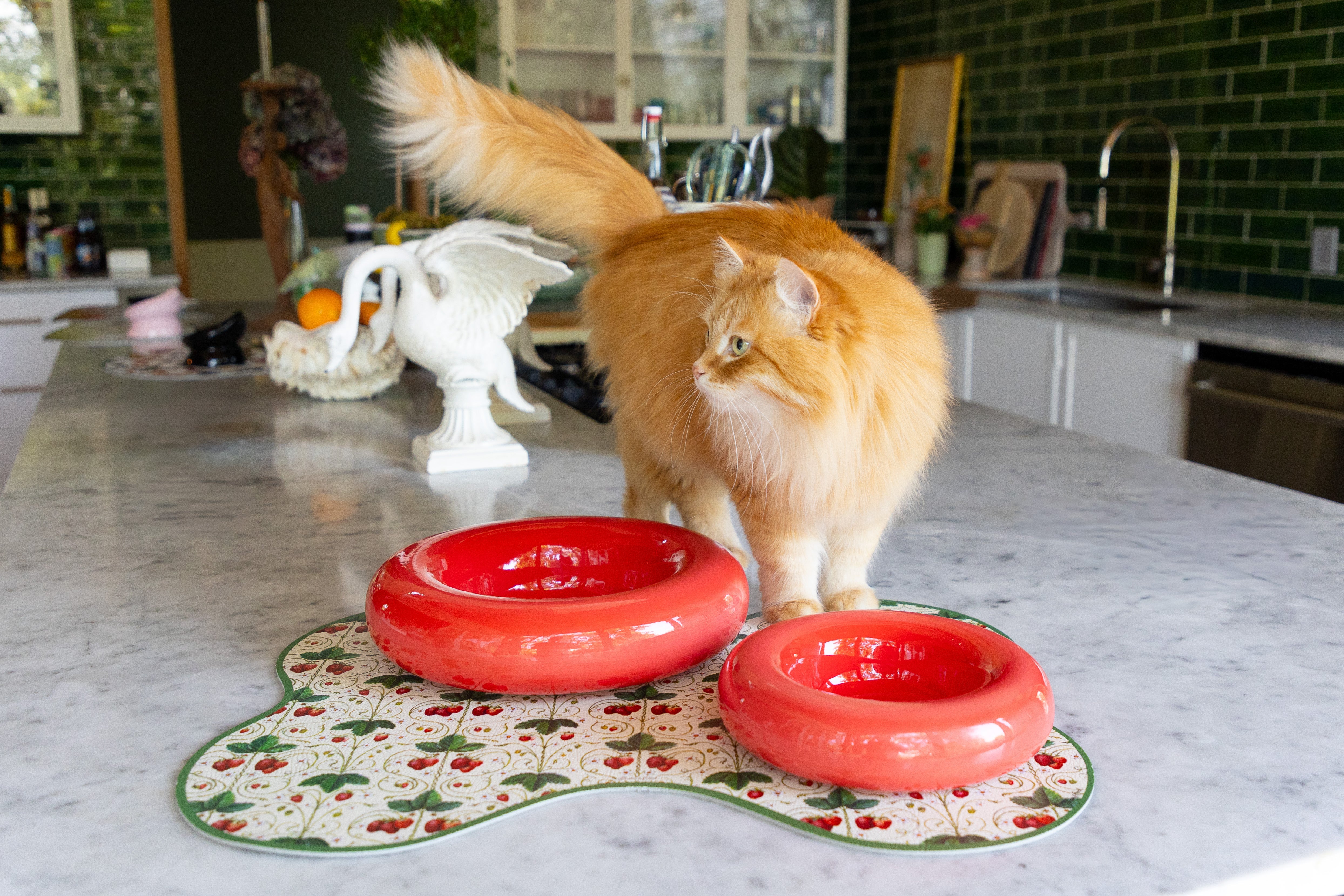Ceramic Dog Feeder