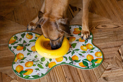 Ceramic Dog Feeder