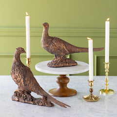 Bronze Pheasant