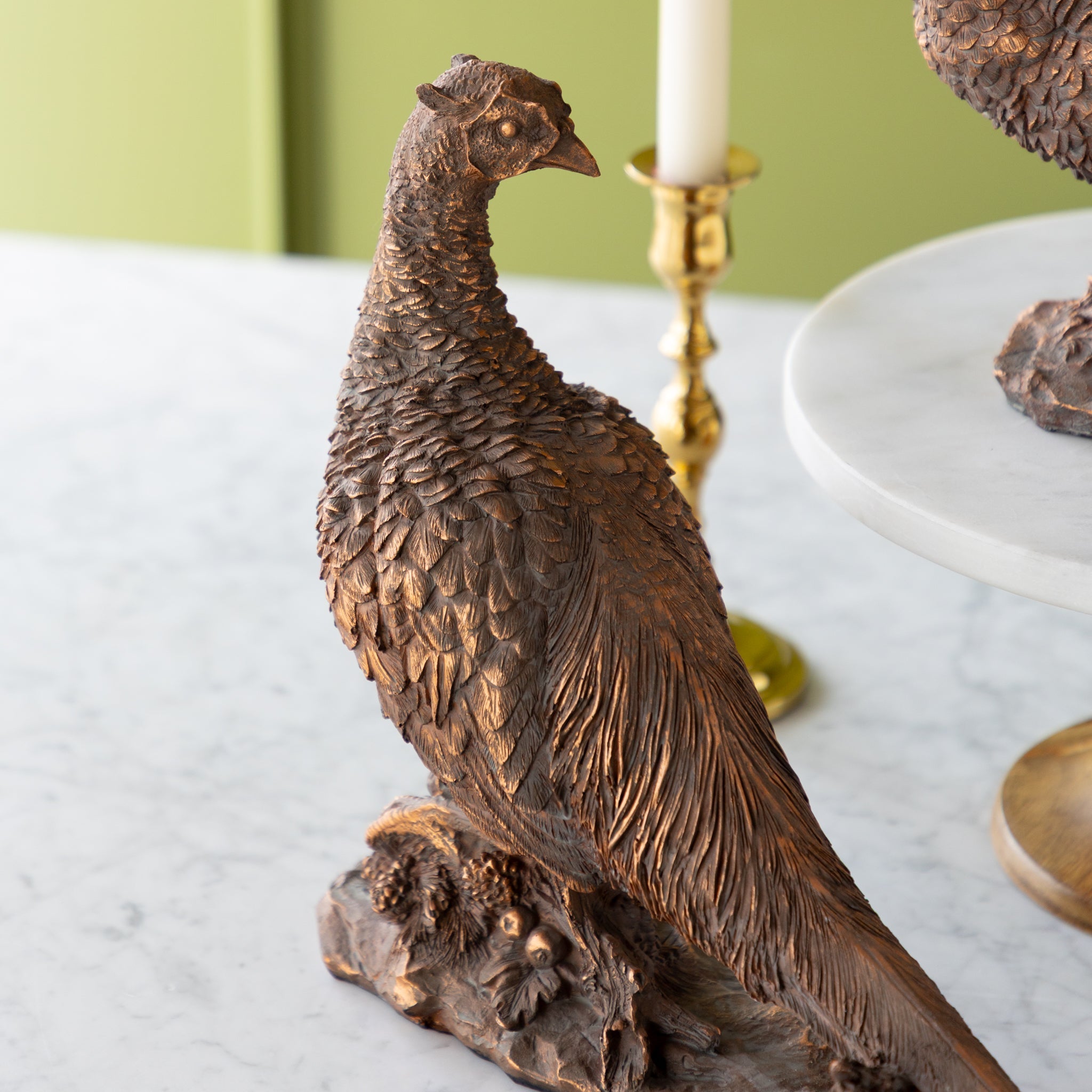 Bronze Pheasant