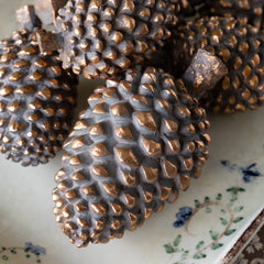 Bronze Pine Cone