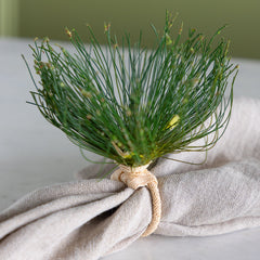Cypress Bloom Napkin Ring
