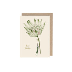 Astrantia (Best Wishes) Greeting Card