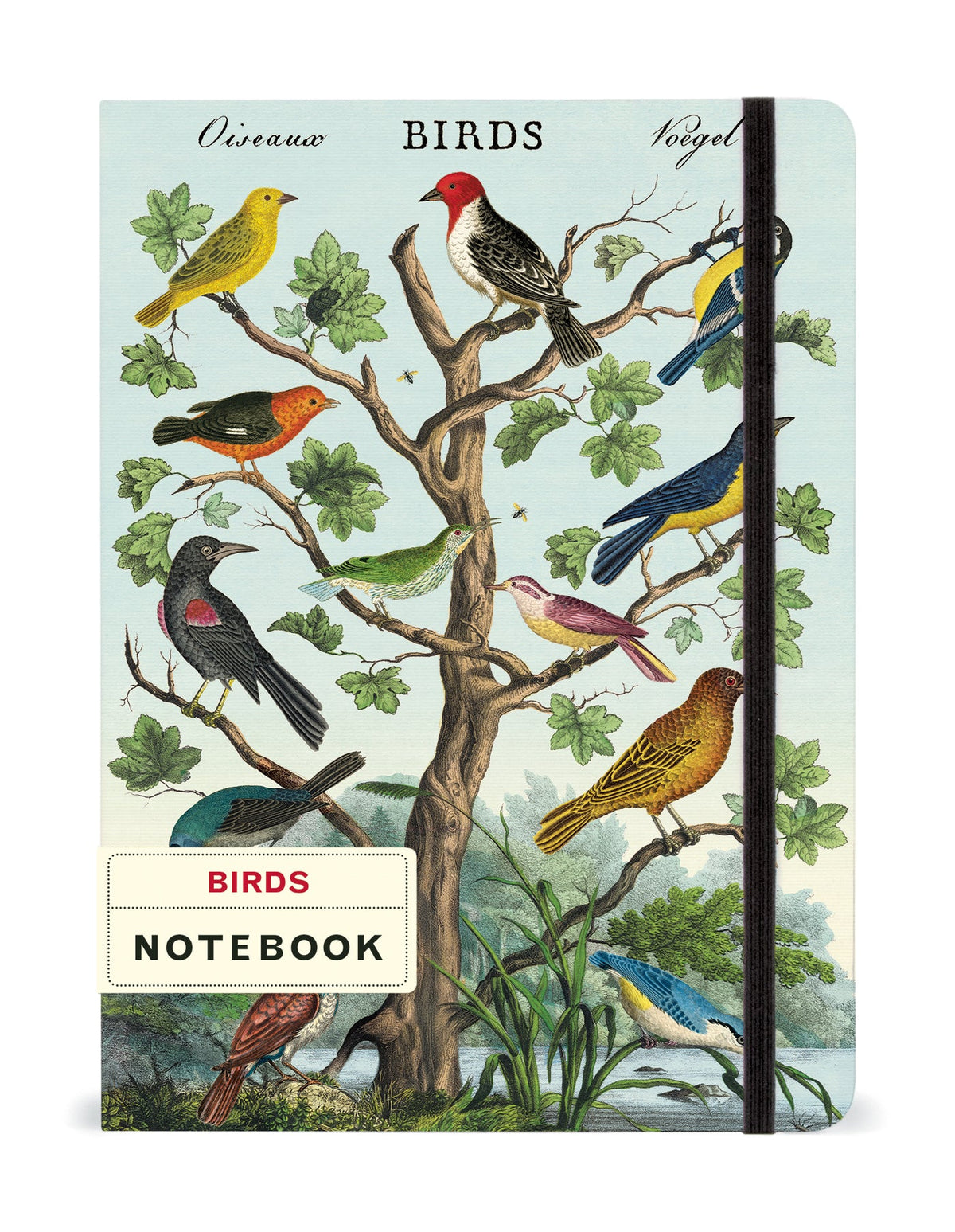 Birds Notebook