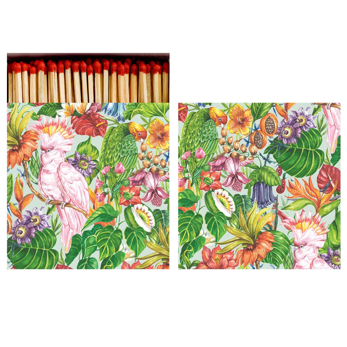 Birds of Paradise Matches