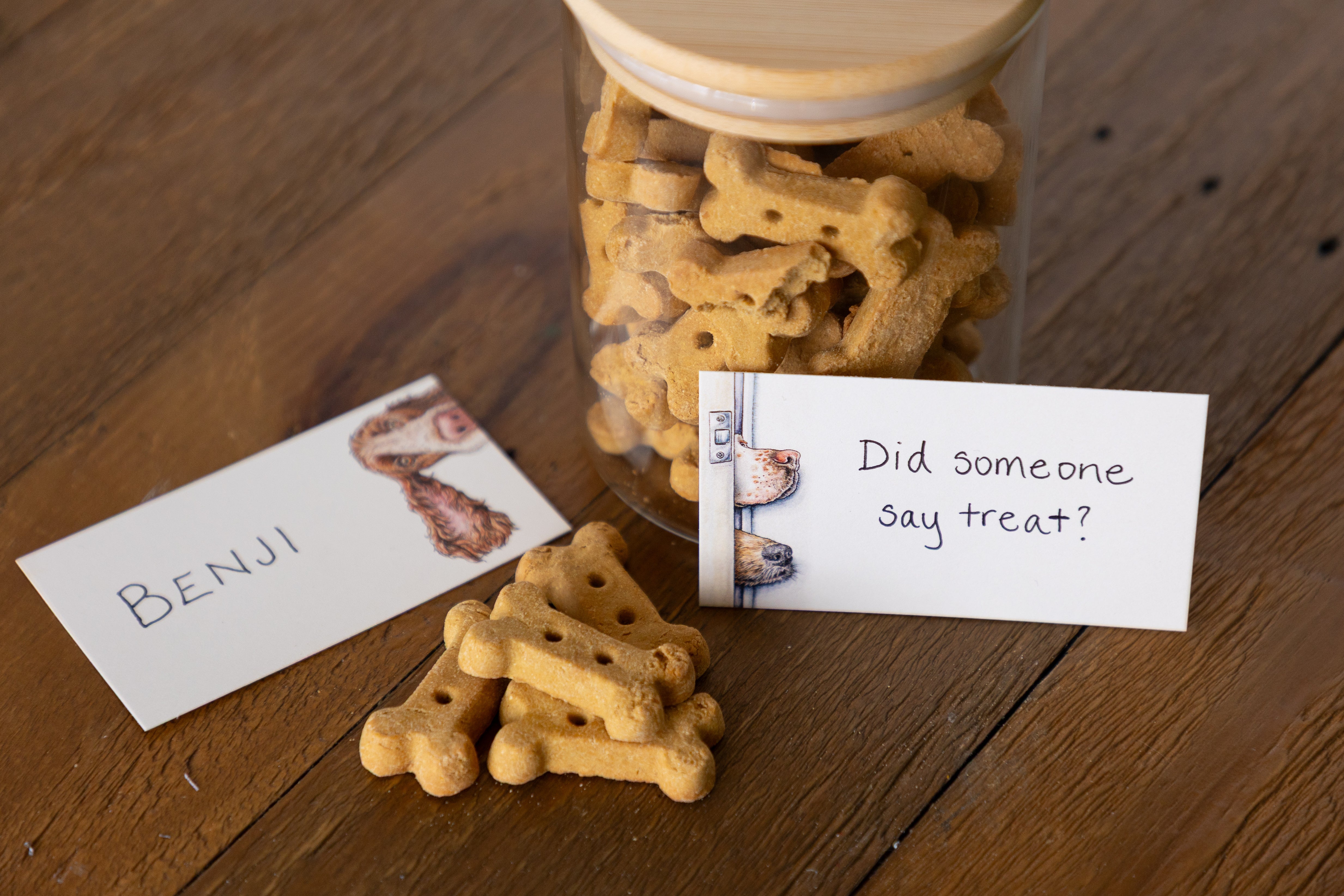 Curious Canines Tiny Notes