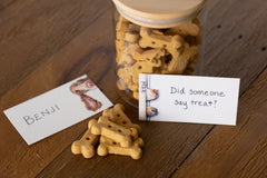 Curious Canines Tiny Notes