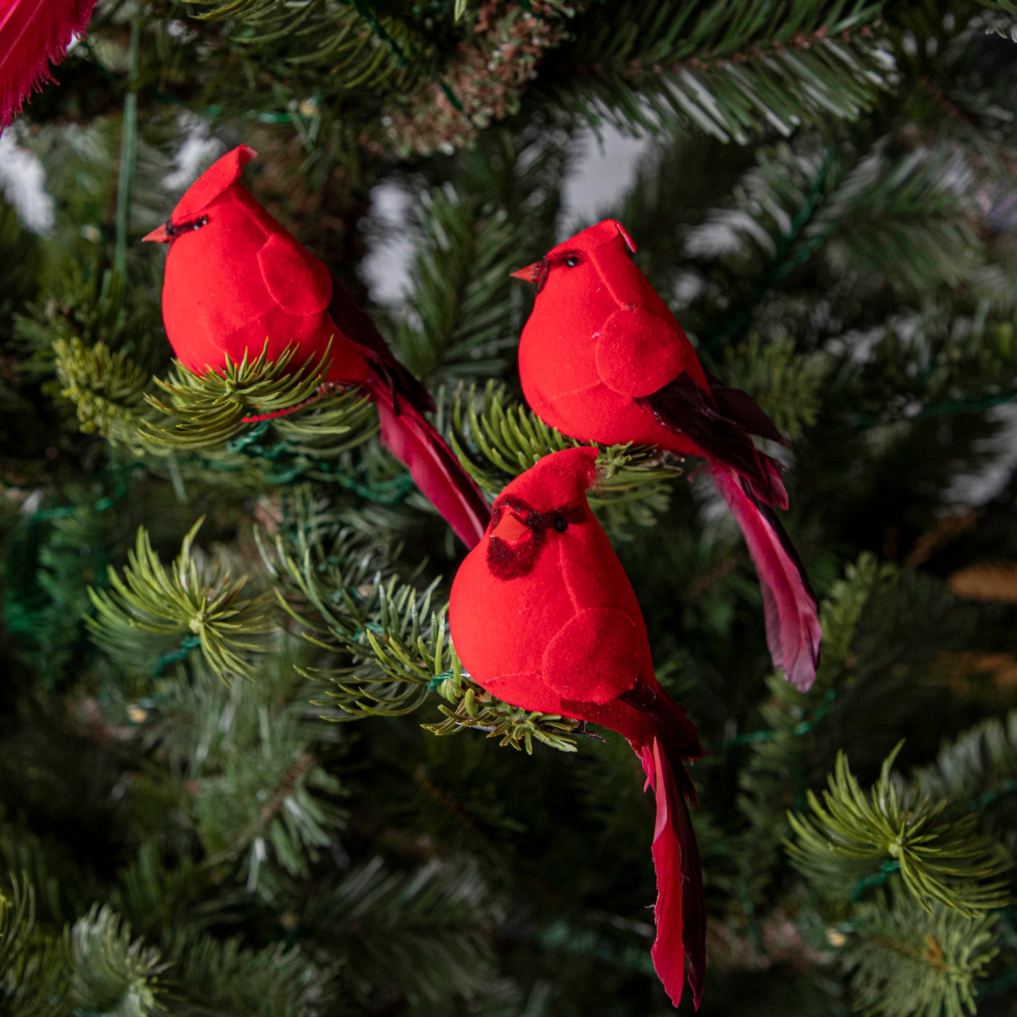 Cardinal Ornament