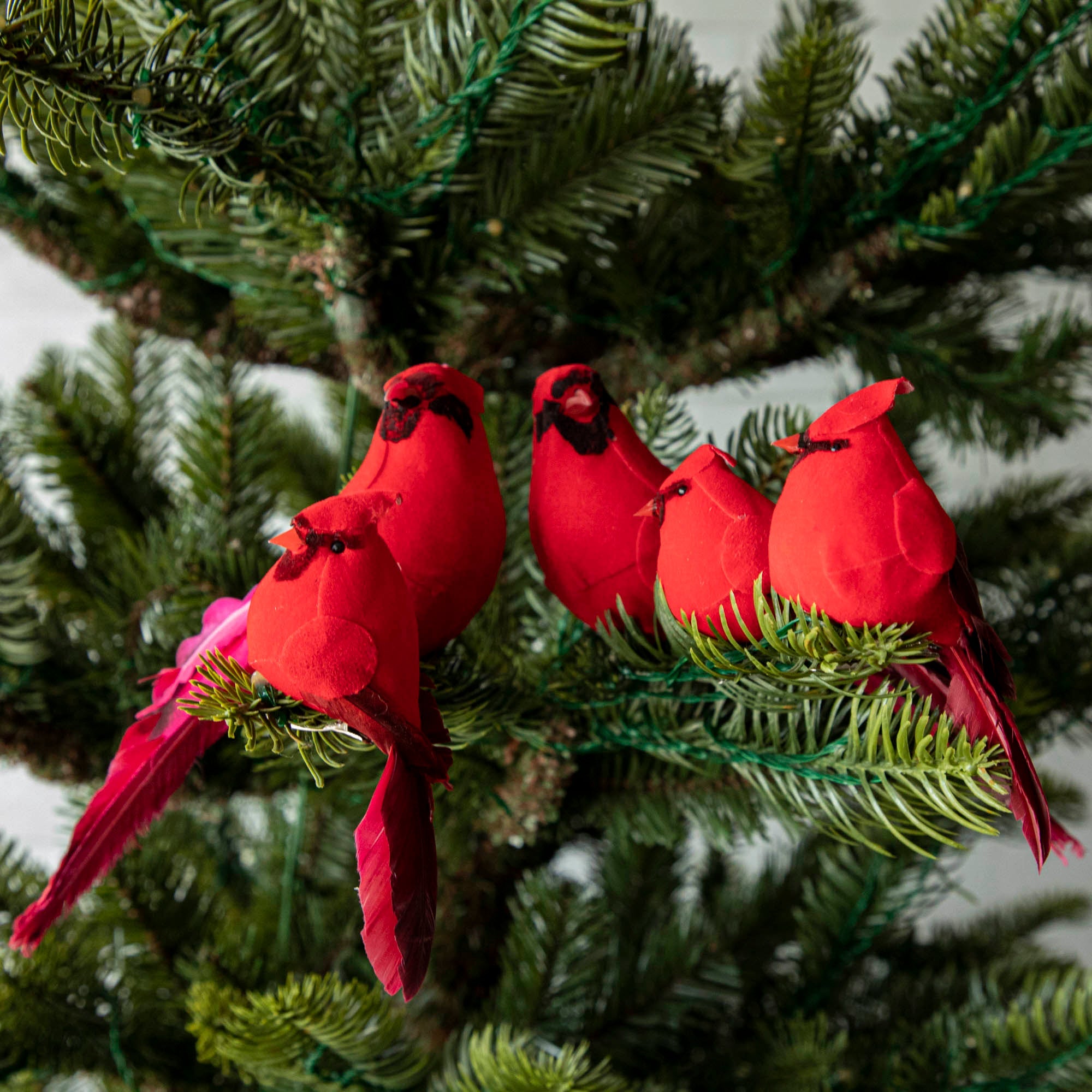 Cardinal Ornament