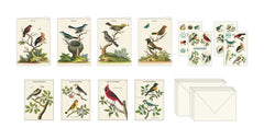 Birds Stationery Set
