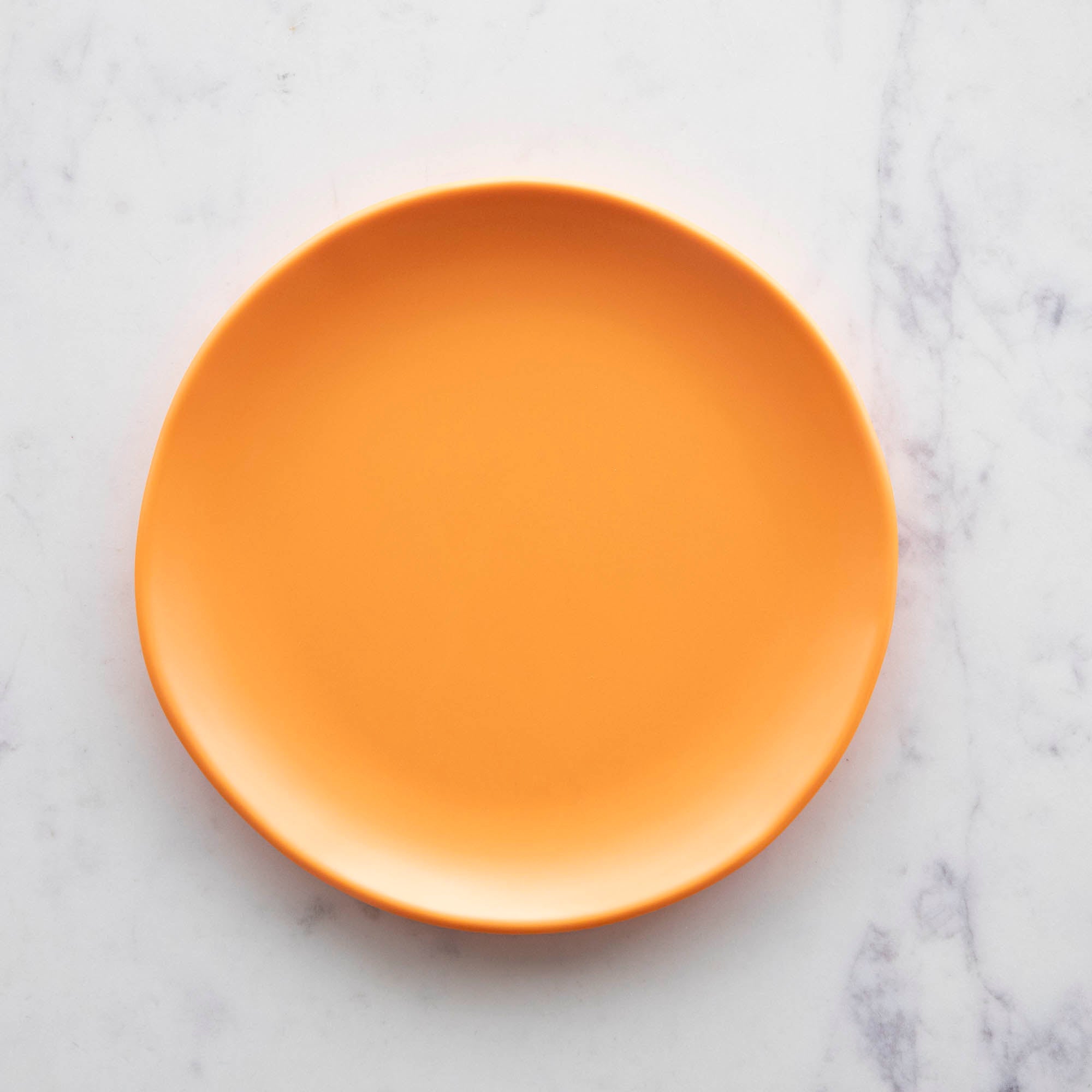 9" Rainbow Melamine Plate