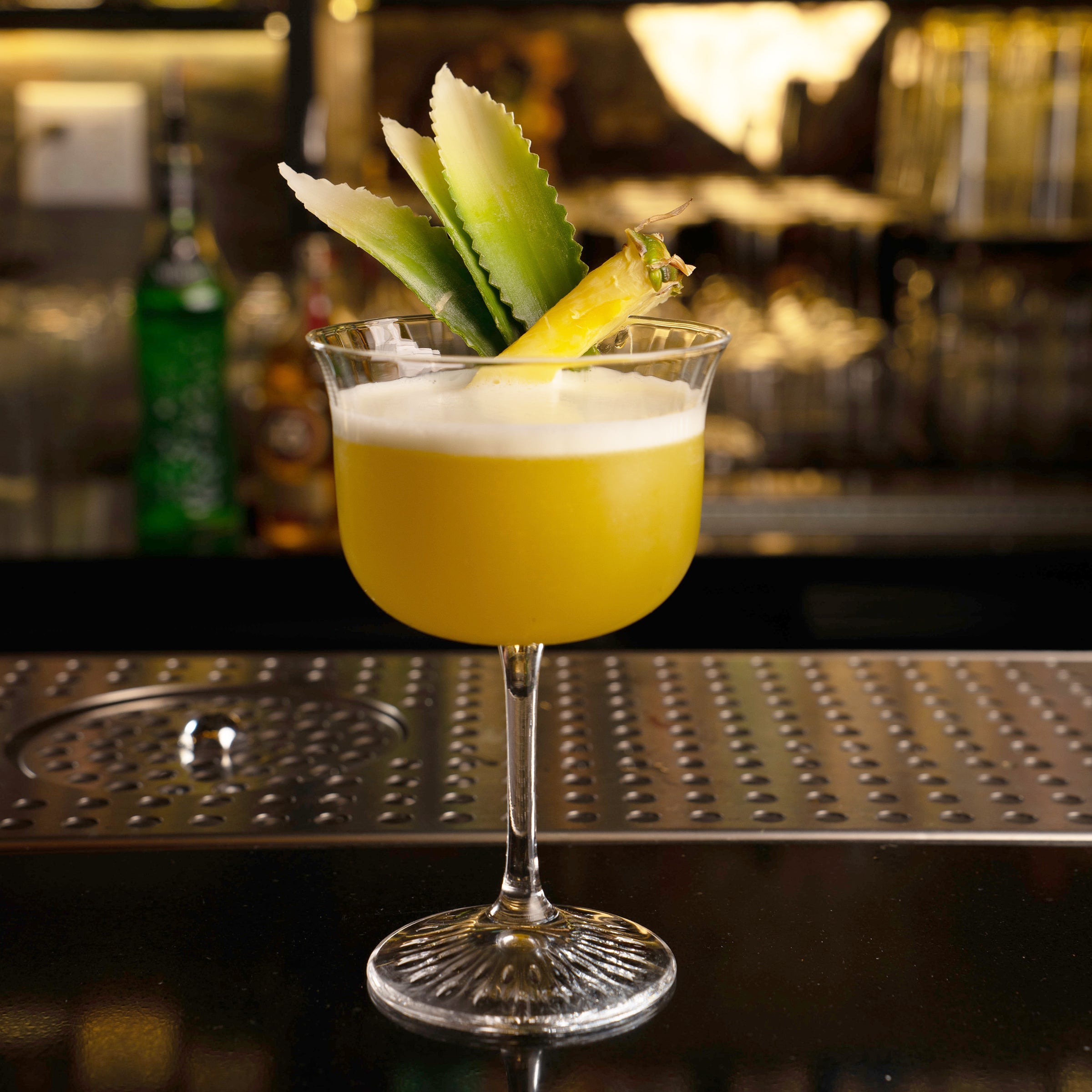 Bloom Cocktail Glasses