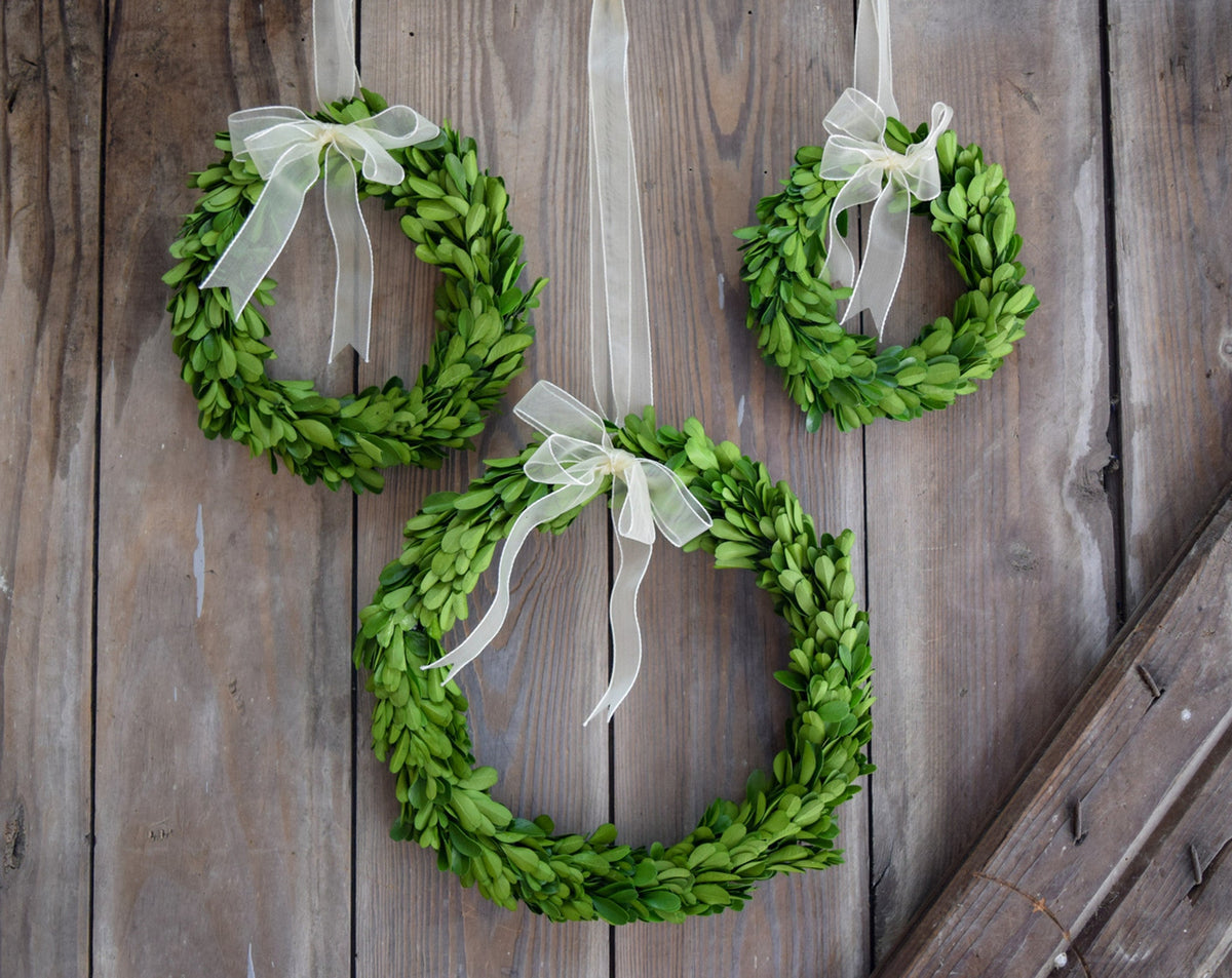3-Piece Round Boxwood Wreath with Ribbon
