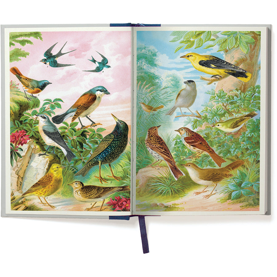 Birdwatching Window Journal